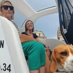 Explore Montpellier by bike-taxi on a 3-hour private trip - Who Will Love This Tour?