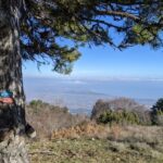 Explore Mount Olympus & Dion: History & Nature Day Trip - Why This Tour Works