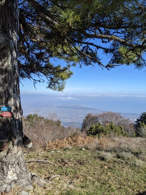 Explore Mount Olympus & Dion: History & Nature Day Trip - Why This Tour Works