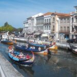 Explore Porto & Aveiro within Riverboat Cruises - Private Full Day Tour from Lisbon with Lunch - Transport & Practical Details