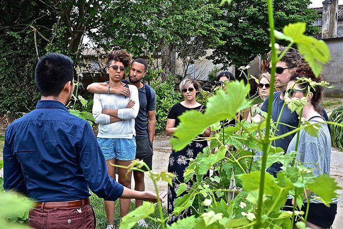 "Explore Saint-Émilion on e-Bikes: Small Group, half-Day Tour" - Who Will Love This Tour?