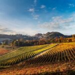 Explore & Savor: Dynamic Wine Tasting at Cantina Moscone - Who Will Love This Experience?