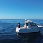 Explore Sesimbra Sports Fishing - The Value of This Fishing Tour