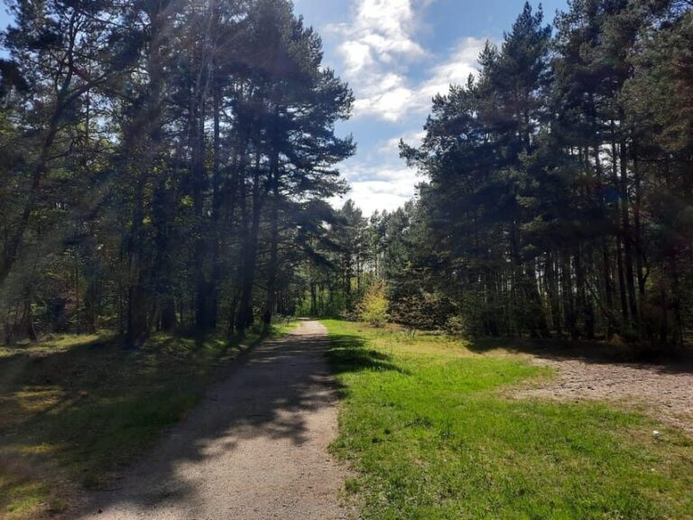 Explore Sobieszewo Island: Nature Walk & Wildlife Tour - A Detailed Look at the Sobieszewo Island Wildlife & Nature Walk