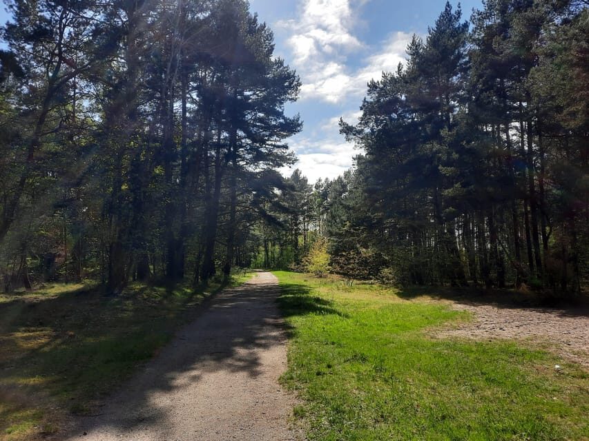 Explore Sobieszewo Island: Nature Walk & Wildlife Tour - A Detailed Look at the Sobieszewo Island Wildlife & Nature Walk