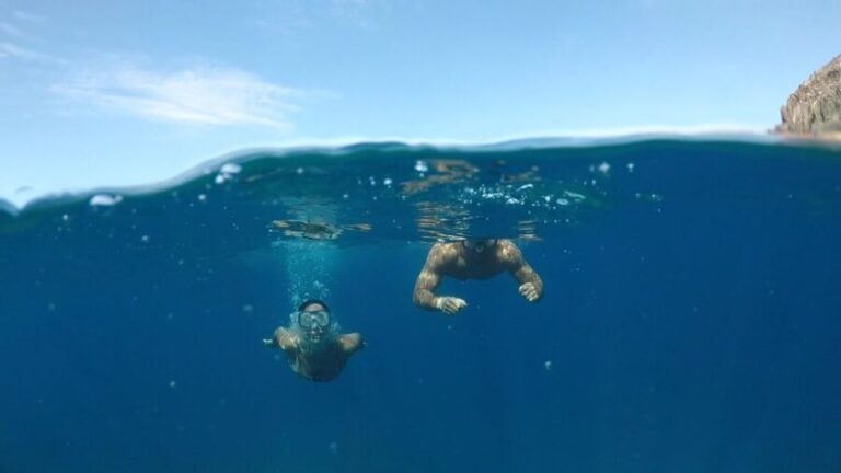 Explore Tenerife with the Snorkel Kit - Who Will Love This Tour?