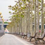 Explore the Instaworthy Spots of Dusseldorf with a Local - Who Will Love This Tour?