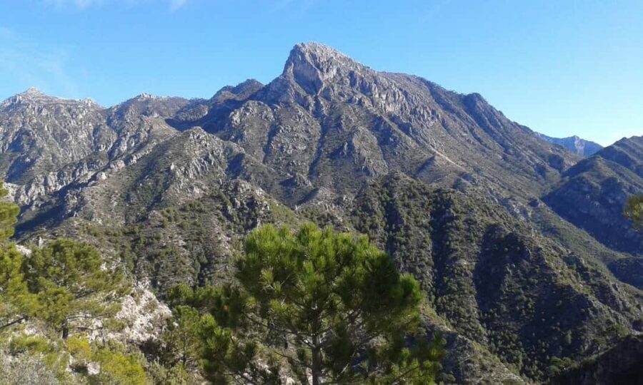 Explore the Nerja National Park nature in our open-top jeeps - Practical Details: Price, Duration, and Booking