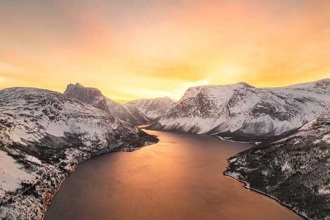 Explore the Norwegian Fjords and the Wildlife From Abisko - Why This Tour Excels