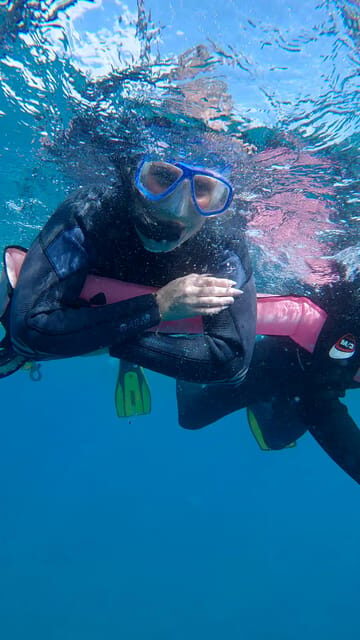 Explore the ocean - Snorkeling for Beginners Los Cristianos - Why This Tour Offers Real Value