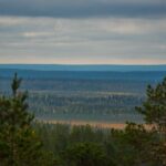 Explore the Wilderness (Summer & Autumn) - Why This Tour Is Valuable