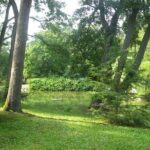 Explore the Wonders of Lituania from Klaipeda Cruise Terminal - FAQ: Your Practical Questions Answered