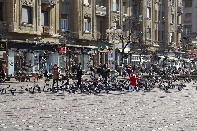 Explore Timisoara in 60 minutes with a Local - Who Is This Tour Best For?