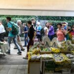 Exploring Capri and Anacapri from Rome: Sea and City Day Trip - Considerations and Caveats