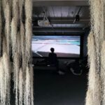 Exploring contemporary art: Private tour of museums with Tickets - Practical Details and What to Expect