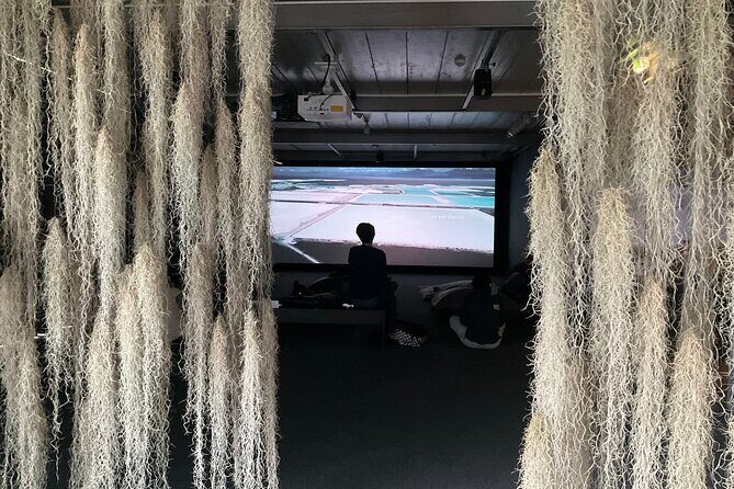 Exploring contemporary art: Private tour of museums with Tickets - Practical Details and What to Expect