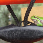 Exploring the Magic of the Danube Delta through photo lenses - What’s Included and What to Consider