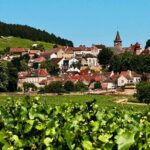 Exquisite Wines Tasting Chateau Pommard, Chablis Small-Group Trip - The Value of This Tour