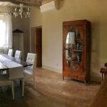 Extra Virgin Olive Oil Experience - Final Thoughts