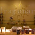 Eze, Monaco & Monte-Carlo Half Day Private Tour - Who Should Book This Tour?