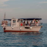 Faana: Dolphin & Sunset - The Value & Practical Considerations