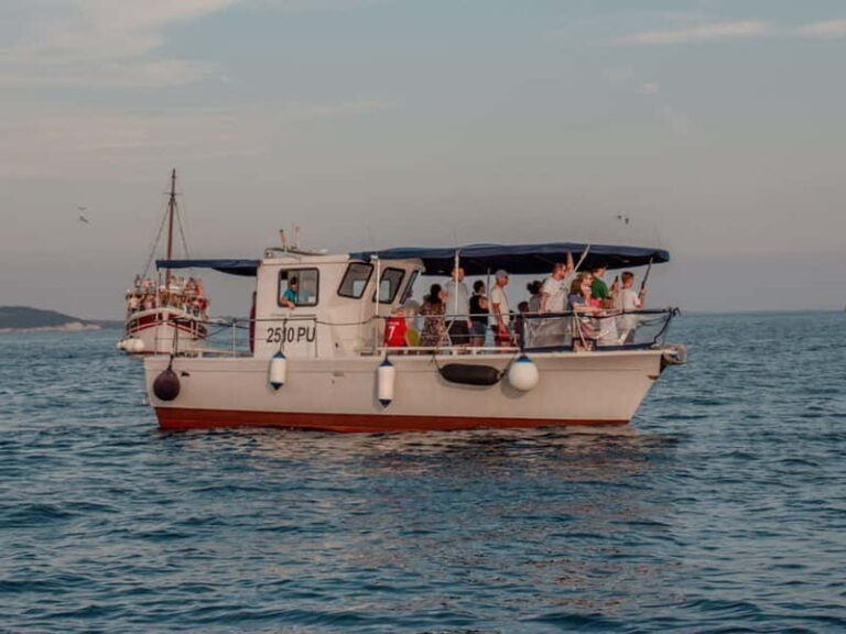 Faana: Dolphin & Sunset - The Value & Practical Considerations