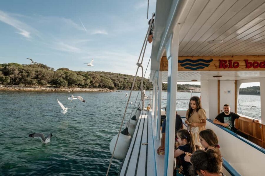 FAANA: PANORAMA NP BRIJUNI AND ISLAND SWIMMING STOP - What’s Included and What to Bring