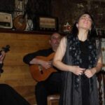 Fado Dinner Show and Night Lights Tour in Porto - Who Will Love This Experience?