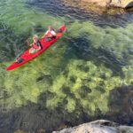 Færvik: Raet National Park Sea Kayaking Trip - Who Should Consider This Tour?