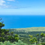 Faial Island: Caldeira Perimeter Hiking Tour PR04 - Who Will Appreciate This Tour?