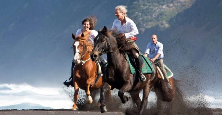 Faial Island: Horseback Riding (3 hrs - Experienced Riders) - The Ride: What You Can Expect