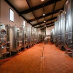 FAMIGLIA COTARELLA, NEAR ORVIETO WINE TASTE AND VISIT - Who Will Love This Tour?