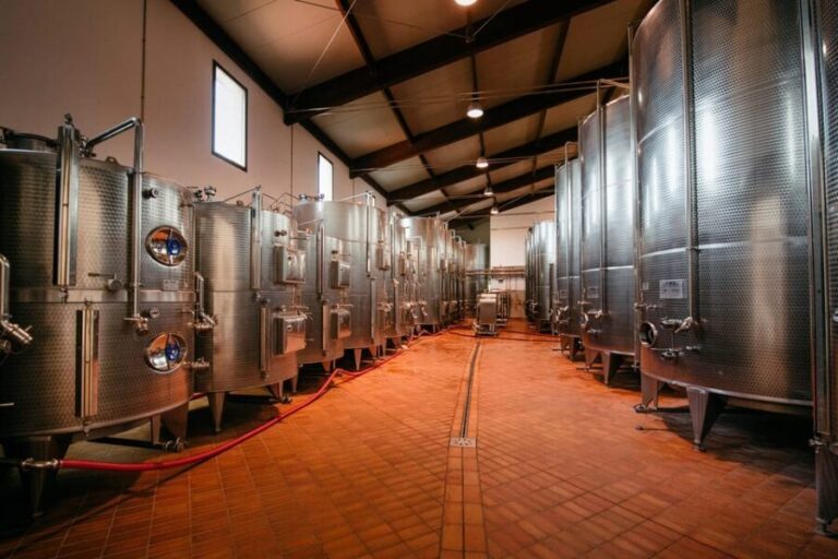 FAMIGLIA COTARELLA, NEAR ORVIETO WINE TASTE AND VISIT - Who Will Love This Tour?