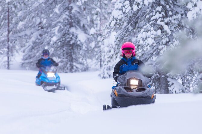 Family day: Reindeer, Husky and Snowmobiling in Levi - What Could Be Better?
