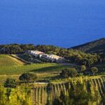 Family E-Bike Tour in the Costa dei Gabbiani Nature Reserve - The Sum Up: Who Is This Tour Perfect For?