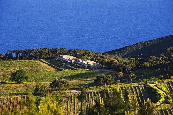 Family E-Bike Tour in the Costa dei Gabbiani Nature Reserve - The Sum Up: Who Is This Tour Perfect For?