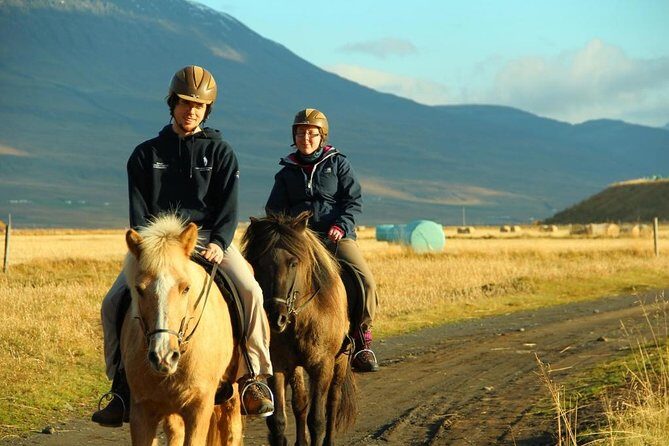 Family Friendly Horse Riding Tour in Skagafjörður - What to Expect and Prepare For