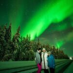 Family-Friendly: Northern Lights Adventure from Rovaniemi - Final Thoughts: Who Will Love This Tour?