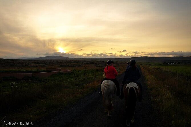 Family Horse Riding Tour in Thorlakshofn - What Sets This Tour Apart