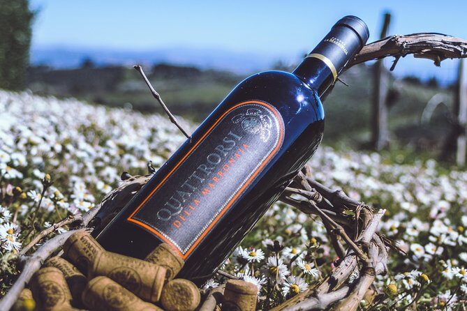 Family Tuscan Cooking Class - Final Thoughts: Is It Worth It?