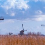 Famous Holland Tour: visit The Hague, Delft, Rotterdam and Kinderdijk from A'dam - The Sum Up