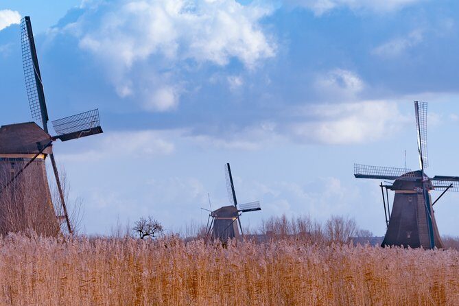 Famous Holland Tour: visit The Hague, Delft, Rotterdam and Kinderdijk from A'dam - The Sum Up