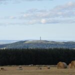 Farm Attraction - Highland Cows, Animal Feeding, Wholesome fun! - FAQs