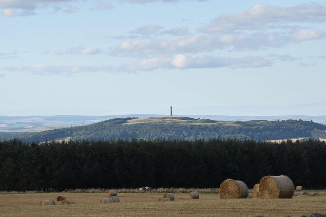 Farm Attraction - Highland Cows, Animal Feeding, Wholesome fun! - FAQs