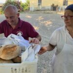 FARM STAY EXPERIENCE & DOZZA - Private Day Tour From Bologna - A Deep Dive into the Experience