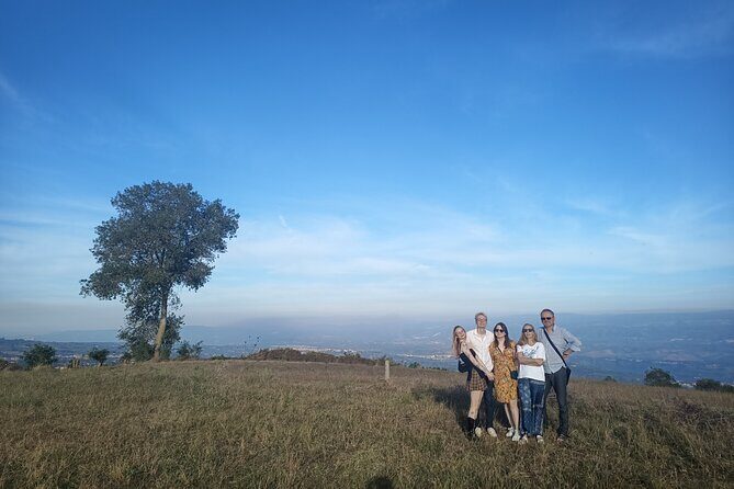 Farm-to-table Food Experience - An In-Depth Look at the Experience