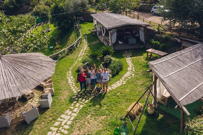 Farm tour with cheese & pizza experience, wine & Limoncello test - The Sum Up: Is This Farm Tour Right for You?