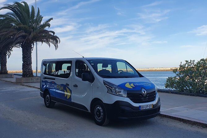 Faro airport - Albufeira: Private Return Transfer - The Driver’s Local Tips and Knowledge