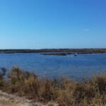 Faro Bike Tour through the Beautiful Ria Formosa - The Practical Side