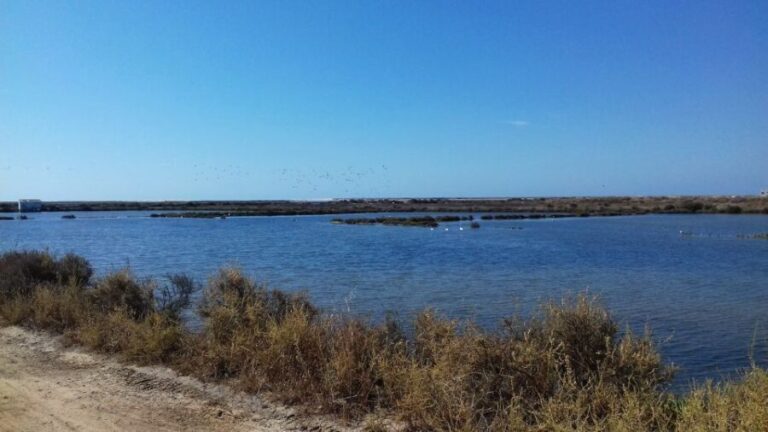 Faro Bike Tour through the Beautiful Ria Formosa - The Practical Side
